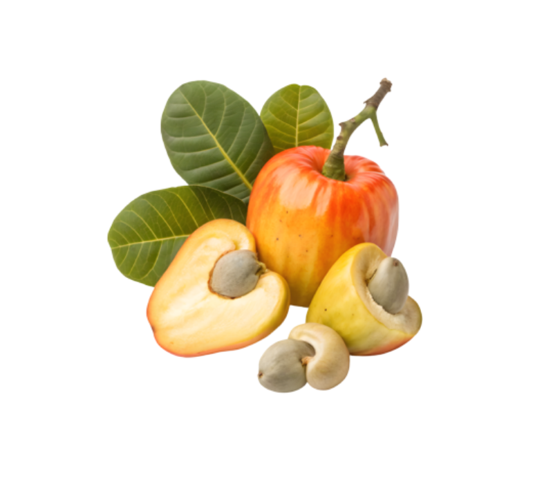 Cashew Apple