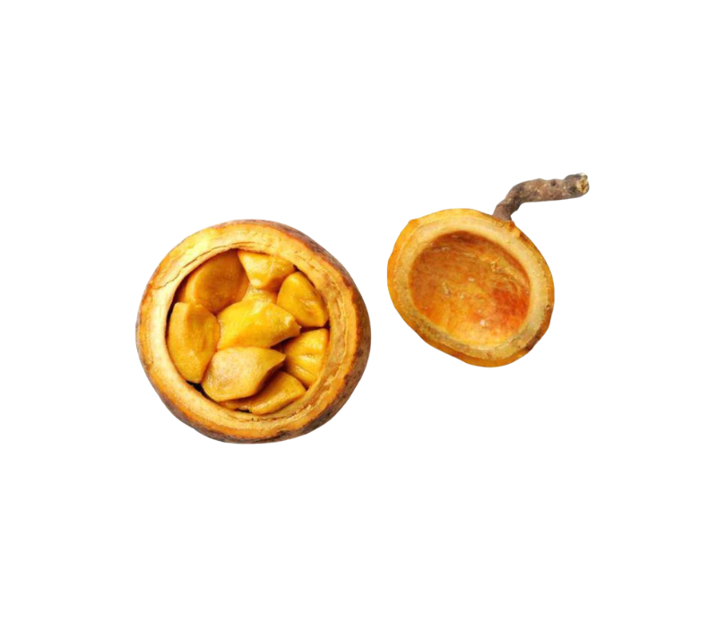 Bungo fruit