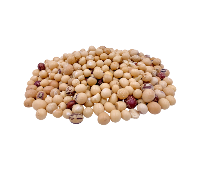 Bambara beans