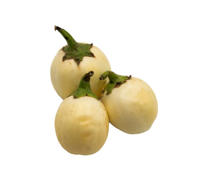 African eggplant