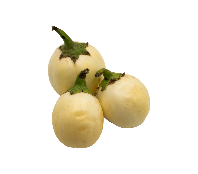 Nyanya Chungu (African Eggplant)