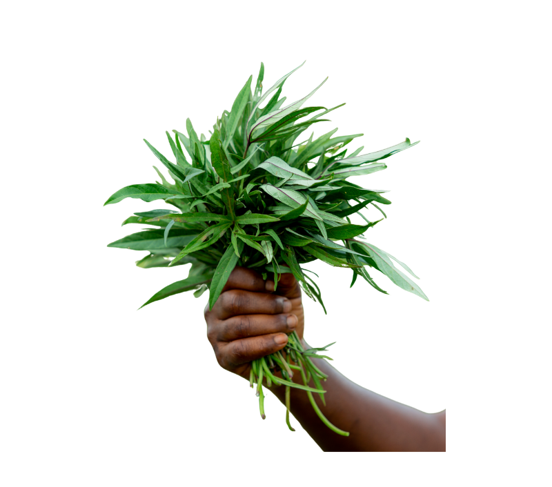 Tembele (Sweet Potato Leaves)
