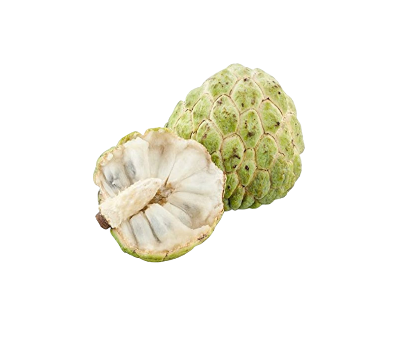 Sugar apple